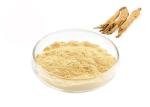 Health Care Improving Immune Root Ginseng Extract Powder