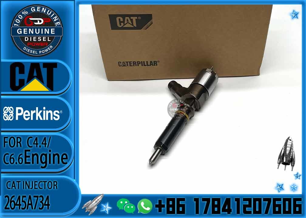 diesel fuel Injector 2645A734 2645A749 2645A747 10R-7671 10R-7672 2645A718 10R-7673