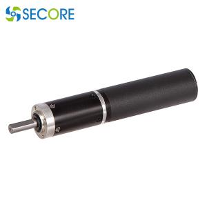 China Planetary 22mm Brushless Motor 8 Pole, 12V 24V 36V 48V Three Phase Brushless Motor factory