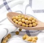 Natural Color 1.5D 51mm Soybean Fiber For Textile Filling Pillows
