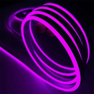 China 3 Years Warranty Flexible Silicone Neon Strip Light 12V Input, 10mm Cutting Unit factory
