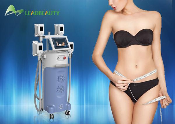 26% Fat Loss!! Cryolipolysis Machine/ Fat Freezing Machine/ Body Slimming