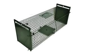 China 50cm Galvanized Large Cat Trap Cage Catch And Release Humane Animal Cage Trap factory