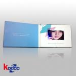 Portable Promotional Video Cards TV & Movie Character Theme For Business Gift