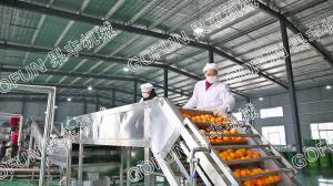 China Multi Functional Fruit Juice Making Machine For Washing / Sorting 1500w - 2200w factory