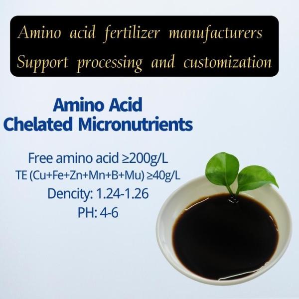 Amino Acid Chelated Micronutrients Cu Fe Zn Mn B Mu Trace Element Minerals