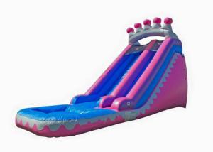 China Commercial Grade 0.55mm Backyard Kids Inflatable Water Slide With Attached Pool factory