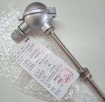 24V JUMO Temperature Transmitter Sensor Pt100 Stainless Steel