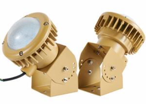 China IP65 30 Watts Hazardous Area Explosion Proof LED Light Fixture CE ATEX factory