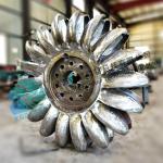 Direct Injection Pelton Turbine Generator