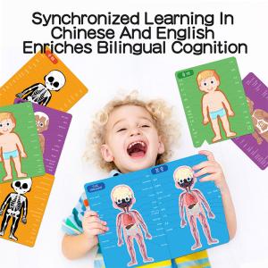 China Children Education Magnetic Jigsaw Puzzle For Human Body Cognition factory