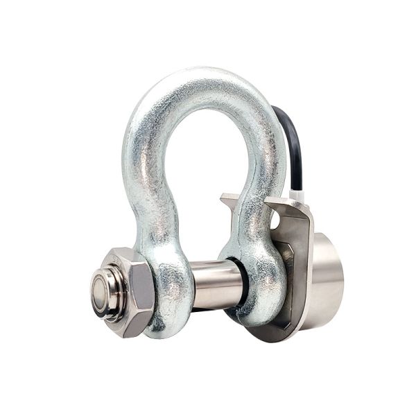 China WLP166-H Digital Load Cell 2T Capacity with Modbus RS485 & IP68 Protection factory