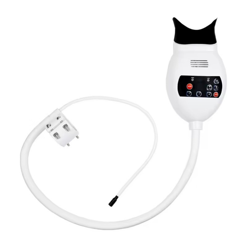 Dental Chair Mounted Teeth Whitening Light 8 LED light Teeth Whitening Machine For Dental Clinic