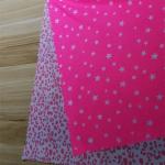 Printed Nylon Taslon Fabric 20dx20d 35gsm Taffeta Woven 380t