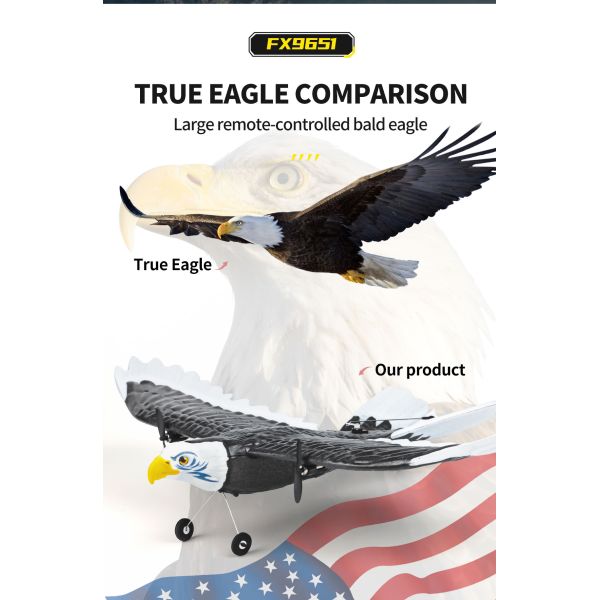 Features RTF 3ch Epp Foam Rc Simulation Wingspan Bald Eagle 2.4g Rc Glider Airplane Toys with 14 Years up Age Range