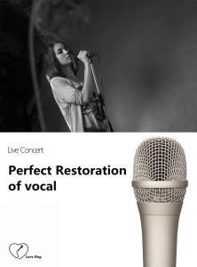 China All Metal Studio Condenser Microphone 20mm*166mm Youtube Singing Microphone factory