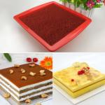 Silicone Cake Pan 8.5 " Nonstick Bakeware Baking Mould Brownie Pan for bread