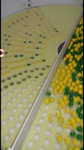 China Softgel Capsule Inspection Counting And Packing Machine 1 Year Warranty factory
