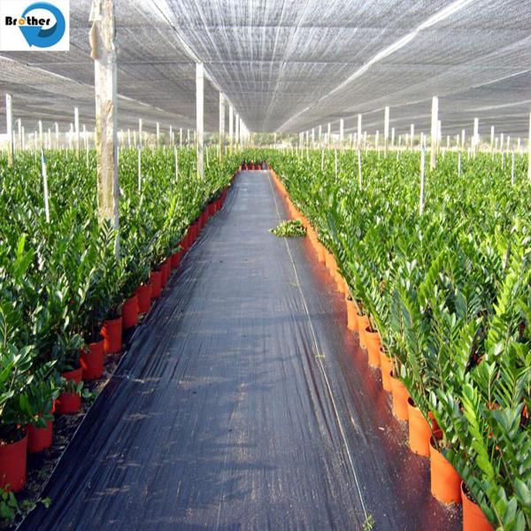 PP Weed Cloth Ground Cover Weed Control Mat, New Material or Recycled Weed