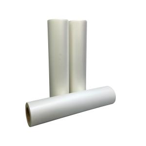 China Pet Film Heat Transfer Paper Clothing 24 Inch A1 DTF Printer With Double/Single Side White Ink factory