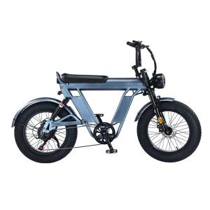 China 20 Inches Fat Tire Electric Bicycle With 48V Aluminum Alloy Frame And Dual Suspension factory