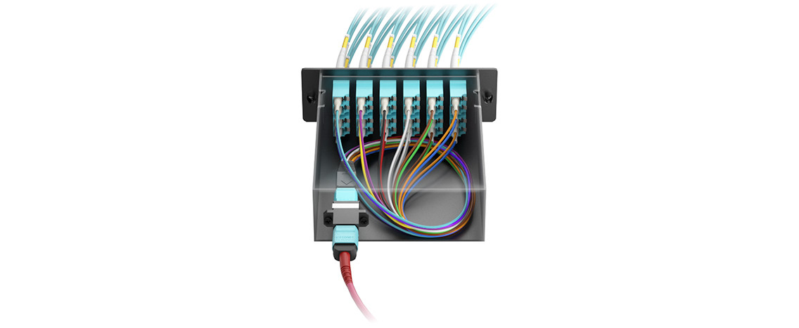1MT12LC2OM4A 1 MTP To 12 LC Duplex Cassette 24 Fiber 12 Port Lc Fiber Patch Panel