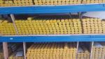 926 DIN1.4529 Stainless Steel Round Bar UNS N08926 Welding Rod
