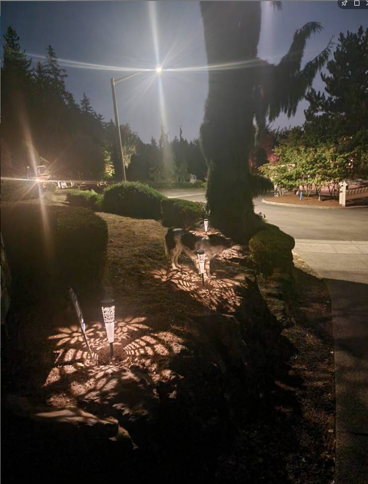 Solar Garden Walkway Lights LED Solar Powered Lights 3500K Warm White