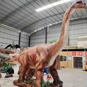 China Jurassic World Diplodocus Model Brachiosaurus Model factory