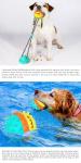 Grind Teeth Dog Bite Training Toys OEM Dog Toy Suction To Floor