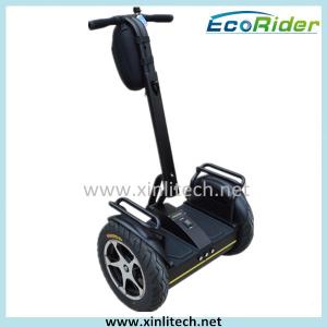 China Mini Segway Balance Scooter 2000W Two Wheel Brush DC Motor Power factory