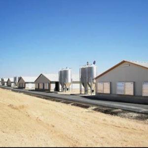 China Quick Assembly Lightweight Steel Frame Chicken House Weather Resistant factory