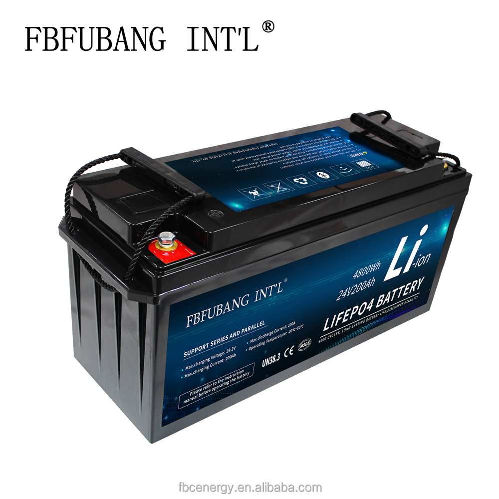 Lifepo4 Deep Cycle 200ah 12V 24V Battery Built In BMS 12 Volt 24 Volt