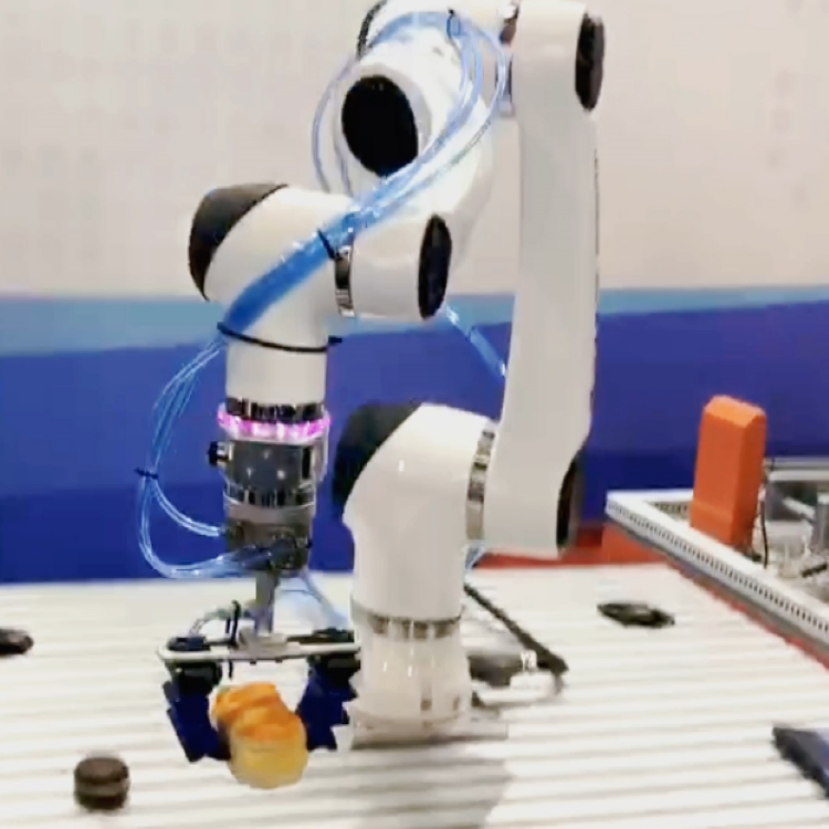 Universal Robot Collaborative Cobot Of Elfin E03 With 3kg Payload 590mm Reach For Collaborative Robot
