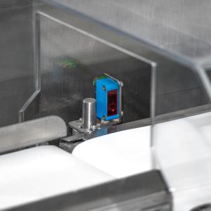 High Accuracy Range Conveyor Weight Checker With Control System Of High Speed A