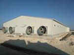 Galvanized Full Antomatic Steel Poultry Farm Shed Bird House Prefabricated