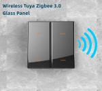 Tuya Zigbee Smart Wall Switch 240V Black Champagne Color
