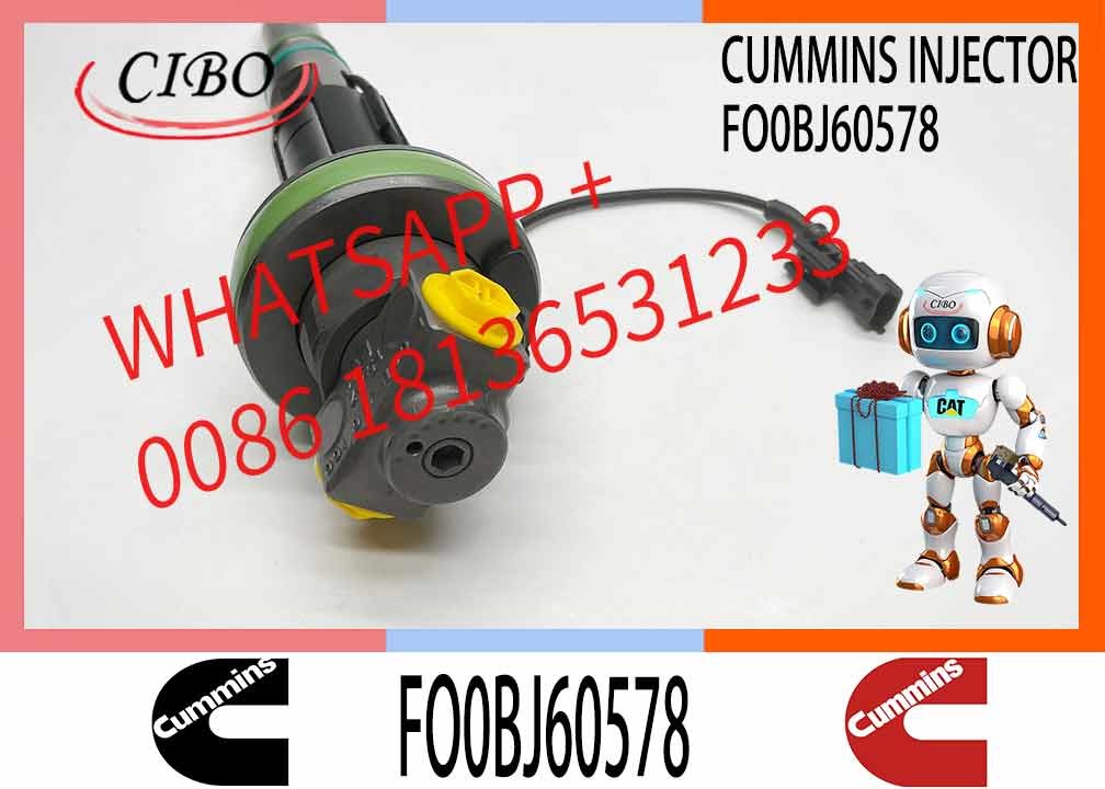 Fuel Injector Assembly Y431K05246 FO0BJ60578 FOOBJ60783 1000019903 For Qsk19 Engine