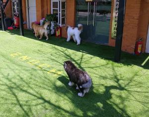 China Garden Artificial Grass Turf PE Synthetic Turf 35mm Landscaping Grass factory