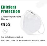 PM2.5 Filter KN95 Dust Mask 17.5*11.5cm For Medical Examination Breathable