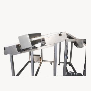 China Inclined Conveyor Food Grade Metal Detector Customized High Stability And Sensitivity factory