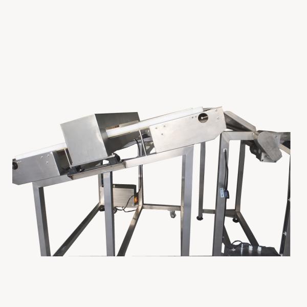 Inclined Conveyor Food Grade Metal Detector Customized High Stability And