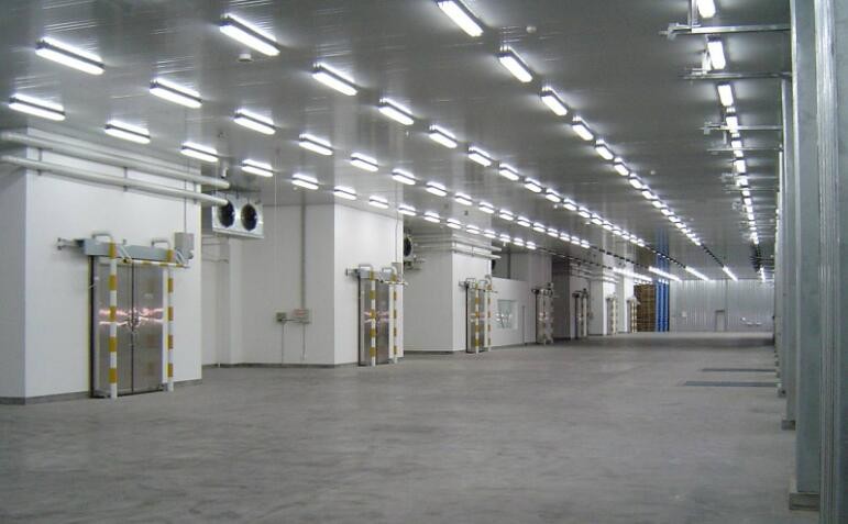 Metal Construct Steel Structure Frame Warehouse Workshop Plant Building