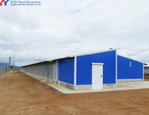 China Complete Controlled Poultry Shed Prefabricated Steel Structure Chicken House for Farm Building factory
