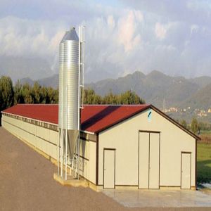 Prefabricated Steel Poultry House Q235 Q345B Galvanized Structure