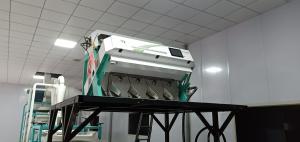China Chute Type CCD Rice Colour Sorter Machine with High Resolution factory