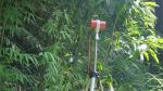 Professional Metal Detector Deep Soil Metal Scanner Anti-Interference Magnetomet