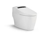 Waterproof Air Purification Acrylic ABS Intelligent Flushing Toilet Seat