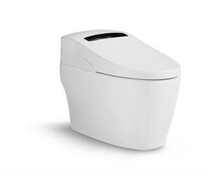 China Waterproof Air Purification Acrylic ABS Intelligent Flushing Toilet Seat factory