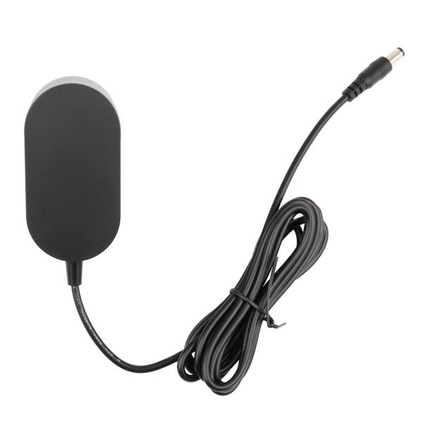 Wall Mount Battery Charger SAA Certified 650mA 12.35W 19V Power Adapter High